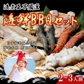 【ふるさと納税】海鮮BBQセット 2～3人前 えび イカ ホタテ つぶ貝 シマホッケ