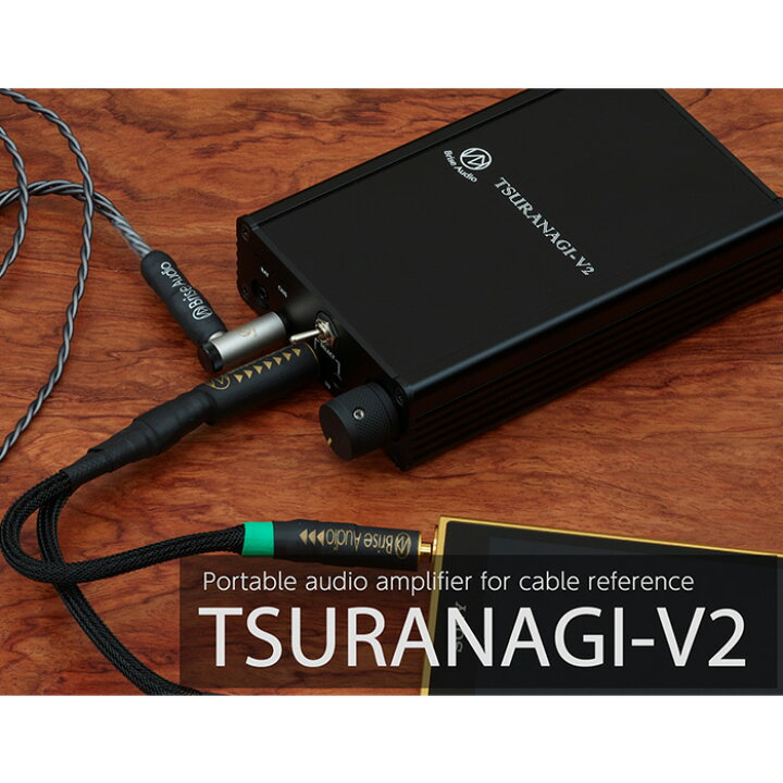 楽天市場】【ふるさと納税】Brise Audio ブリスオーディオ 高級 高額 