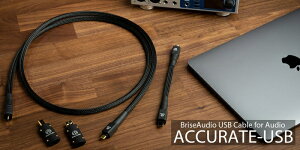 yӂ邳Ɣ[ŁzBrise Audio uXI[fBI  z  ACCURATE-USB TYPE C to C^I[fBIpUSBP[u