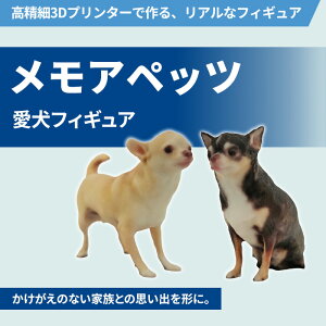 yӂ邳Ɣ[ŁzAybc!tBMA(3Dv^[ō郊AȃtBMA)yLВFЁz