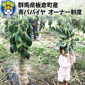【ふるさと納税】群馬県板倉町産 青パパイヤ オーナー制度