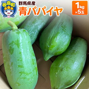 yӂ邳Ɣ[ŁzyԌzppC 5kgZbgi1kg×5ʁjQnY Y t[c ʕ 썑 gsJ