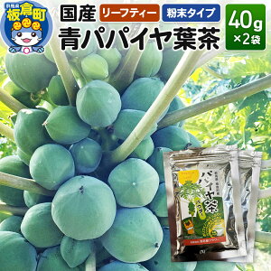 yӂ邳Ɣ[ŁzQnqY ppCti40g×2܁j[teB[ ^Cv Y t[c ʕ 썑 gsJ