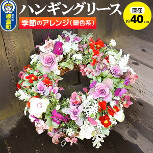 yӂ邳Ɣ[ŁznMO[X@G߂̃AW (gFn) a40cmy rI CeA  oXPbg 񂹐A v[g 蕨z