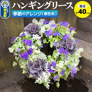 yӂ邳Ɣ[ŁznMO[X@G߂̃AW (Fn) a40cmy rI CeA  oXPbg 񂹐A v[g 蕨z