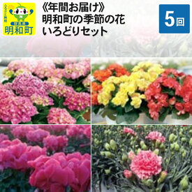 【ふるさと納税】明和町の季節の花いろどりセット【年間5回お届け】