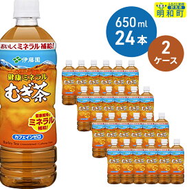 【ふるさと納税】伊藤園 健康ミネラルむぎ茶 ＜650ml×24本＞【2ケース】