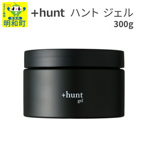 yӂ邳Ɣ[Łzwngx{hunt WF 300g