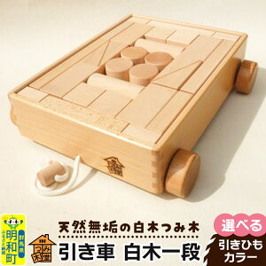 yӂ邳Ɣ[Łz ؈ii340×300×85mmjyIׂ ЂJ[zVRC ؂ݖ ݂ ςݖ ؂̂ ݖؓ Qn a