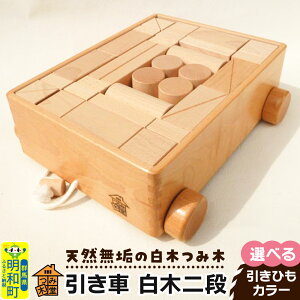 yӂ邳Ɣ[Łz ؓii340×300×120mmjyIׂ ЂJ[zVRC ؂ݖ ݂ ςݖ ؂̂ ݖؓ Qn a