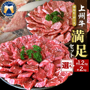 yӂ邳Ɣ[Łz  Jr [X ē  Zbg y B zIׂe 1.2kg / 2kg 500g × 4 600 × 2 Y a a uh   ē o[xL[ BBQ Lv AEghA 