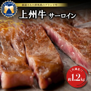 yӂ邳Ɣ[Łz T[C yBz 1.2kg (200g×6) Y  Xe[L Lv AEghA o[׃L[ BBQ Ⓚ  Qn c