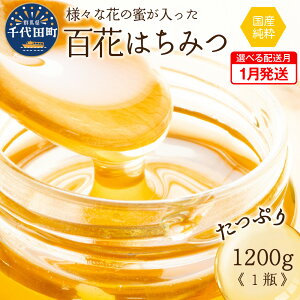 yӂ邳Ɣ[Łzyʌz݂͂ e / 600g 1200gEz  Iׂ Y SԖI c{Iꁄn`~c I nj[  Y VR YI   Mtg 