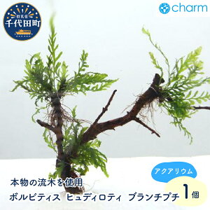 yӂ邳Ɣ[Łz{reBX qfBeB u`v`itji_ji1{j`ӍH[`Qn c CeA i` R N[[V ͔| v[g