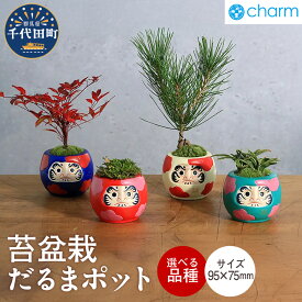 【ふるさと納税】苔盆栽 だるまポット 選べる 品種 イワヒバ / オモト 群雀 / ナンテン 南天 / ねじり黒松 抗火石 鉢植え 苔 盆栽 ダルマ インテリア 癒し プレゼント ギフト 贈答用 内祝い お祝い 送料無料 お取り寄せ 日用品 植物 セット 株式会社チャーム 群馬県 千代田町