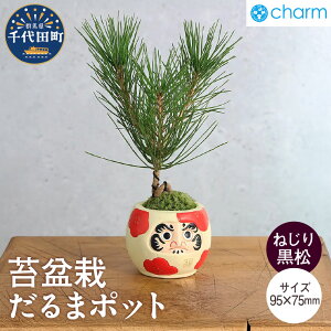 yӂ邳Ɣ[Łzۖ~ ܃|bg Iׂ i Cqo / Ig Q / ie V / ˂荕 Rΐ A  ~ _} CeA  v[g Mtg p j 