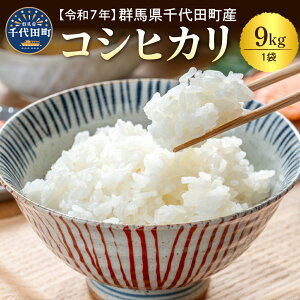 yӂ邳Ɣ[Łzyߘa7NxYz Qn cY RVqJ 9kg × 1 / uh  Ђ Qn c