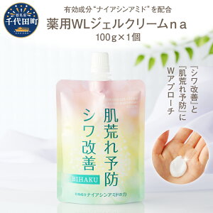 yӂ邳Ɣ[ŁzpWLWFN[ na 100g Qn c eN[ iCAVA~hz I[CWF N[  rh~ VP 