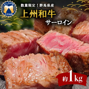 yӂ邳Ɣ[Łz јa T[C Xe[L yBaz   uh  1kg (250g×4)Y Yi p Mtg v[g Lv \L o[xL[  Q