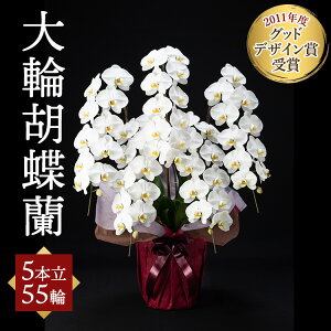 yӂ邳Ɣ[Łz֌Ӓ 5{ 55ցkCEEւ̔zs