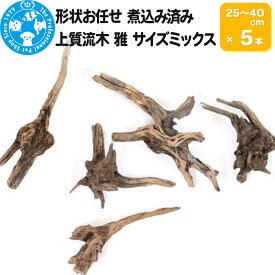 【ふるさと納税】上質流木 雅〜みやび〜 サイズミックス（約25〜40cm）5本