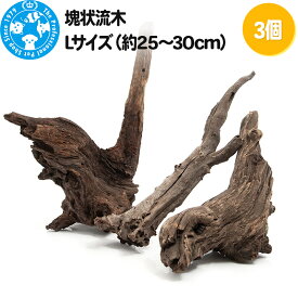 【ふるさと納税】塊状流木 Lサイズ（約25〜30cm）3個