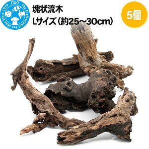 yӂ邳Ɣ[Łz󗬖 LTCYi25`30cmj5