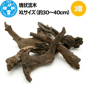 yӂ邳Ɣ[Łz󗬖 XLTCYi30`40cmj3