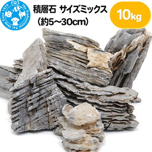 yӂ邳Ɣ[Łzϑw TCY~bNXi5`30cmj10kg