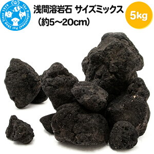 yӂ邳Ɣ[Łzԗn TCY~bNXi5`20cmj5kg