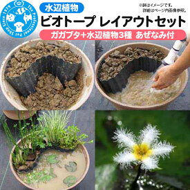 【ふるさと納税】水辺植物 ビオトープレイアウトセット（ガガブタ+水辺植物3種 あぜなみ付）