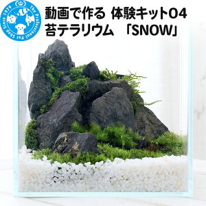 yӂ邳Ɣ[Łzō ̌Lbg04 ۃeE uSNOWv