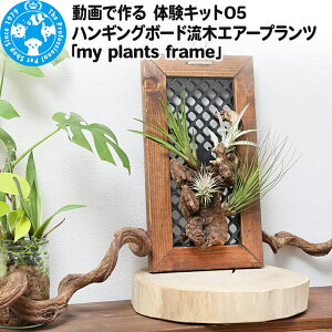 yӂ邳Ɣ[Łzō ̌Lbg05 nMO{[h؃GA[vcumy plants framev