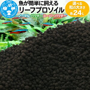 yӂ邳Ɣ[Łz\C ȒPɎ [tv\C Iׂ闱̑傫 24Li8L×3܁j Mы pi Ѓ`[ charm