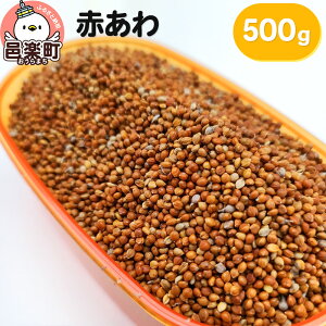 yӂ邳Ɣ[ŁzԂ 500g×1 TCgEER[|[V 