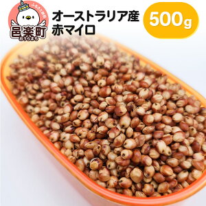 yӂ邳Ɣ[Łzԃ}C I[XgAY 500g×1 TCgEER[|[V 