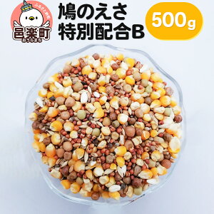 yӂ邳Ɣ[Łẑ ʔzB 500g×1 TCgEER[|[V 
