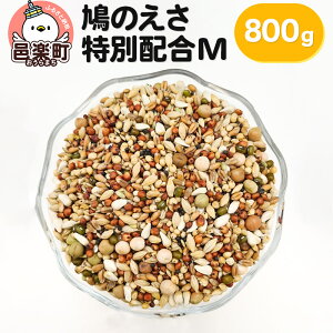 yӂ邳Ɣ[Łẑ ʔzM 800g×1 TCgEER[|[V 