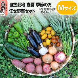 【ふるさと納税】自然栽培 春夏 季節のお任せ野菜セット Mサイズ