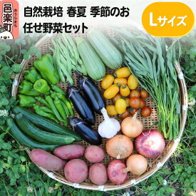 【ふるさと納税】自然栽培 春夏 季節のお任せ野菜セット Lサイズ