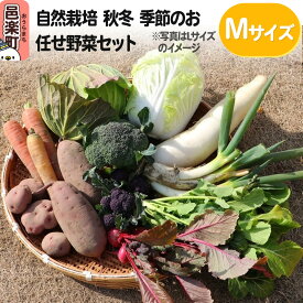【ふるさと納税】自然栽培 秋冬 季節のお任せ野菜セット Mサイズ