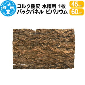 yӂ邳Ɣ[ŁzRN (IׂTCYb45cmE60cm)1 p obNpl roE