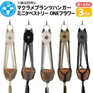 yӂ邳Ɣ[Łz}NvcnK[ ~j^yXg[ ONEt[ 3p (IׂJ[b5) 71cm