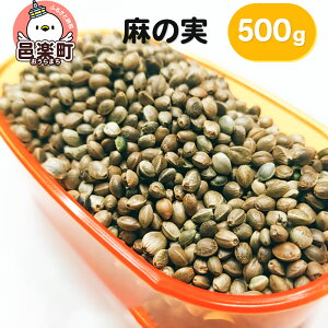 yӂ邳Ɣ[Łz̎ 500g×1 TCgEER[|[V 