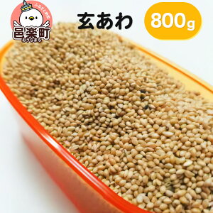 yӂ邳Ɣ[Łz 800g×1 TCgEER[|[V 