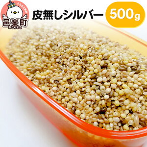yӂ邳Ɣ[Łz疳Vo[ 500g×1 TCgEER[|[V 
