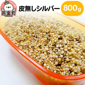 yӂ邳Ɣ[Łz疳Vo[ 800g×1 TCgEER[|[V 