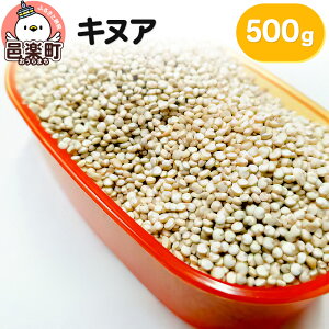 yӂ邳Ɣ[ŁzLkA 500g×1 TCgEER[|[V 