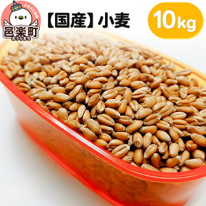 yӂ邳Ɣ[ŁzyYz 10kg×1 TCgEER[|[V 