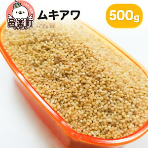 yӂ邳Ɣ[ŁzLA 500g×1 TCgEER[|[V 